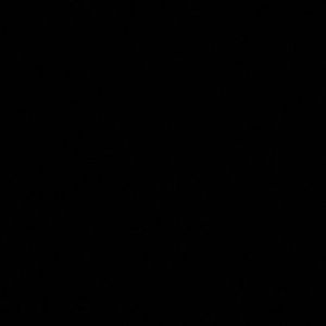 Meet your Posher, Hashim